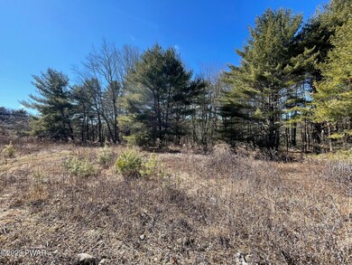 Lot 19 Mountain Springs Rd, Milford, PA 18337 - photo 5