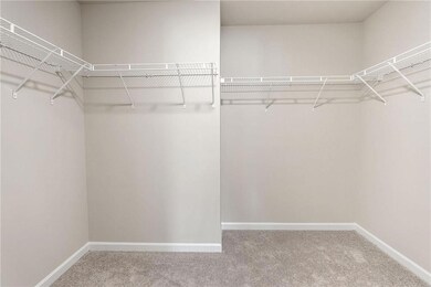 Spacious closet with carpet flooring
