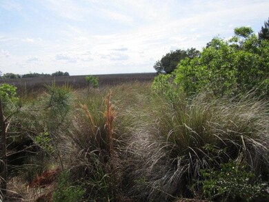 2003 Sea Palms West Dr unit LOT 2, St. Simons Island, GA 31522 - photo 2