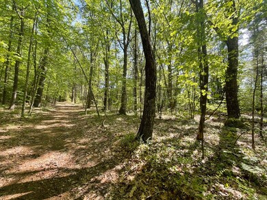 0 Barre Rd, Hubbardston, MA 01452 - photo 2