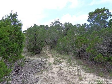 27212 Bent Trail, Fair Oaks, TX 78006 - photo 5