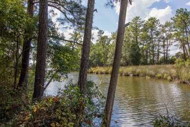 77 Wheat Patch Rd, Bath, NC 27810 - photo 5