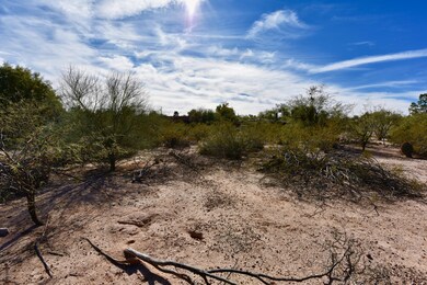 2321 E Greenlee Rd unit 2321, Tucson, AZ 85719 - photo 3