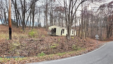 3307 Potts Hill Rd, Bainbridge, OH 45612 - photo 4