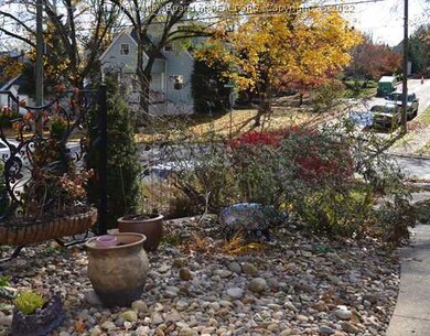 Yard/Garden.