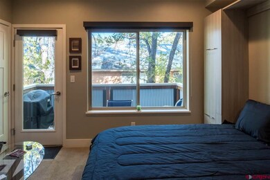 610 E 8th Ave unit 210, Durango, CO 81301 - photo 7