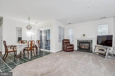 5001 Willow Branch Way unit 104, Owings Mills, MD 21117 - photo 5