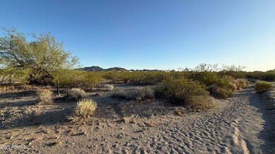 IMG_1335