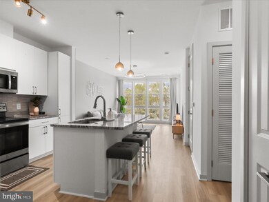 10755 Fairgrounds Dr unit 422, Fairfax, VA 22030 - photo 3