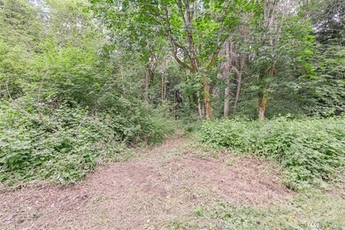 0 317th St NW, Stanwood, WA 98292 - photo 7