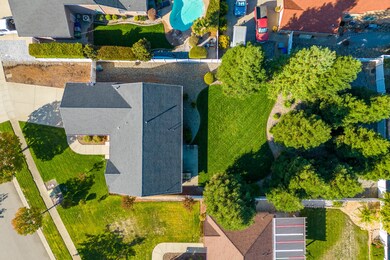 aerial top view