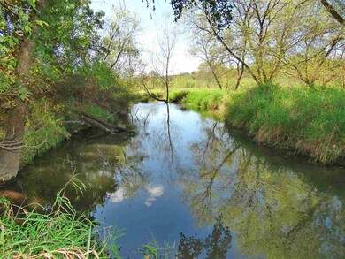119.1 Ac Old Hwy 81, Argyle, WI 53504 - photo 6