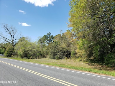 700 Academy, Fair Bluff, NC 28439 - photo 7