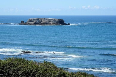 Seals live here