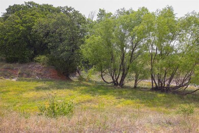 Lot 14 Aslan Rd, Poolville, TX 76487 - photo 7