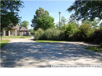 Looking down the driveway.