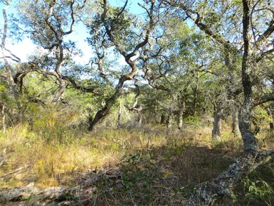 1078 Indian Cir, Altair, TX 77442 - photo 4