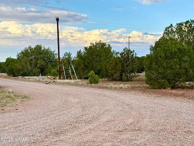 20251114200207319572000000-o