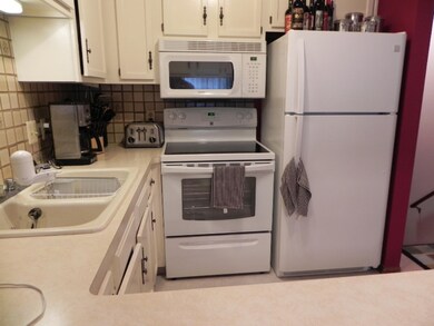 photo 3 (2)