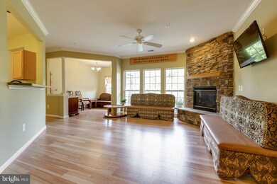 5915 Abrianna Way unit UTB, Elkridge, MD 21075 - photo 5