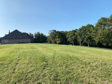 290 Newbury Rd, Reeds Spring, MO 65737 - photo 3