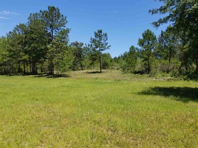 0 Bond Rd unit ACREAGE 281563, Cairo, GA 39828 - photo 6