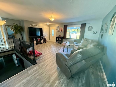 230 N Shore Dr, Petersburg, IL 62675 - photo 5