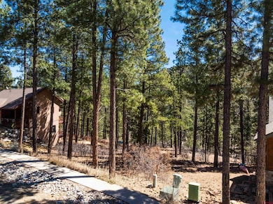 143 El Diente Dr, Durango, CO 81301 - photo 3