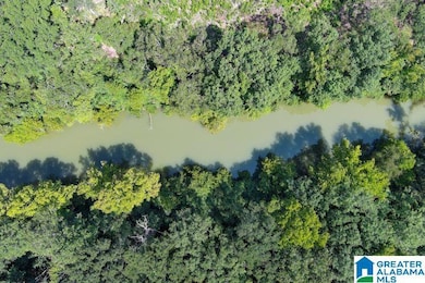 209 Harts Ferry Rd unit 2, Ohatchee, AL 36271 - photo 5