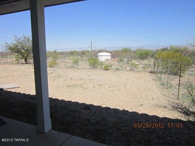 backyard2
