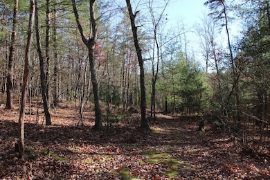 0 Rolly Rd unit LotWP001 23098894, Mount Jackson, VA 22842 - photo 4