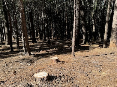 5771 Lupin Ln, Pollock Pines, CA 95726 - photo 5