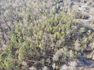 0 NE Cedar Trail unit 389161, Pinetta (Madison County), FL 32350 - photo 7