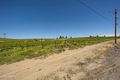 0 Wilson Hwy, Grandview, WA 98930 - photo 7