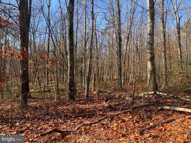 Lot 18 Sleepywoods Rd, Cross Junction, VA 22625 - photo 2