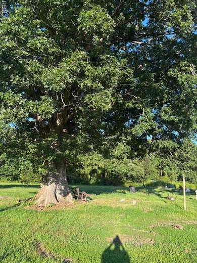 7496 Yellow Hammer Rd, Zuni, VA 23898 - photo 6