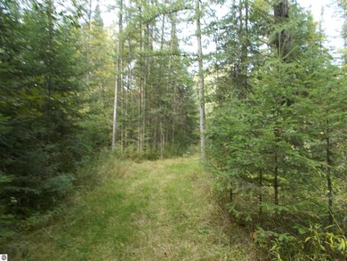 6004 M 55, Whittemore, MI 48770 - photo 7