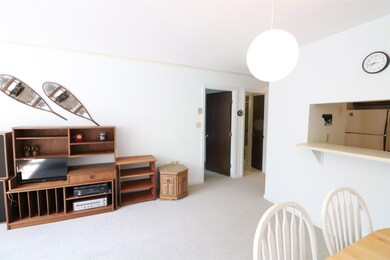 193 Main St unit 108, North Woodstock, NH 03262 - photo 6