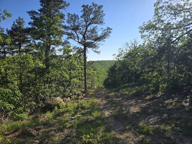 TR 21&22 Pine Tree Trail, Albion, OK 74571 - photo 5