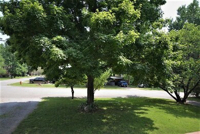 Pretty Shade Tree in Front Yard