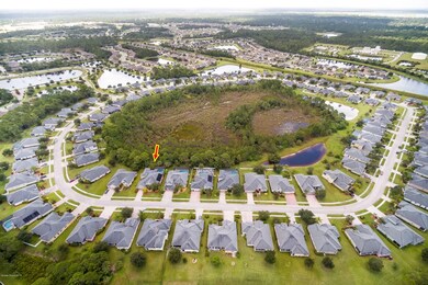 Brandy Creek aerial subd with arrow-21