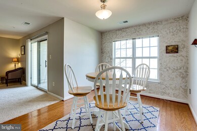 9131 Gracious End Ct unit 203, Columbia, MD 21046 - photo 6