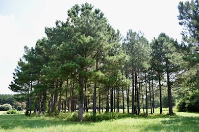 Lot 3 Woodlawn Dr, Clarksville, VA 23927 - photo 3