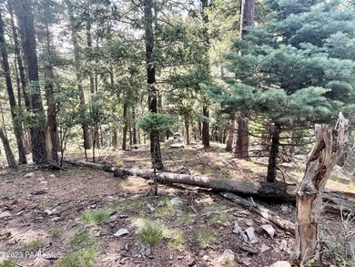 334x E Sheldon Rd, Prescott, AZ 86303 - photo 6