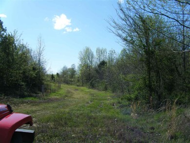 1835 Braden Rd, Mason, TN 38049 - photo 5