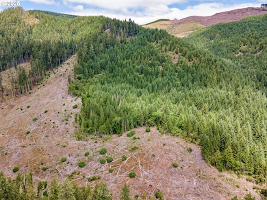 0 Sharps Creek Rd, Dorena, OR 97434 - photo 7