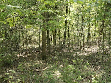 210 Bo Peep Cir, Horseshoe Bend, AR 72512 - photo 2