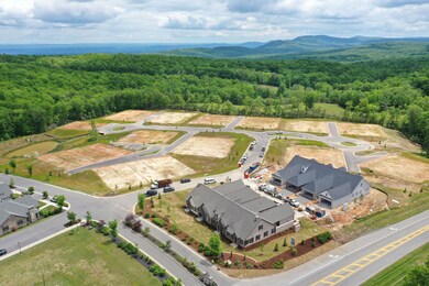Cottages at BW Aerial May 2020