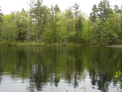 DSC09952