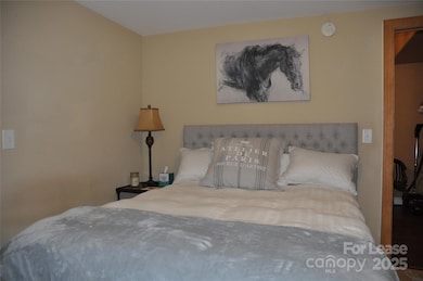 196 Ridge Rd, Landrum, SC 29356 - photo 3